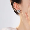 The new S925 silver-needle studded zircon feather pearl stud earrings feature a high-end design and are a light luxury French retro earring accessory Application Scenario